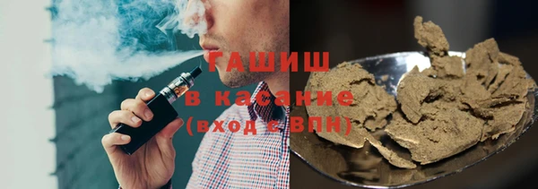 индика Дмитриев