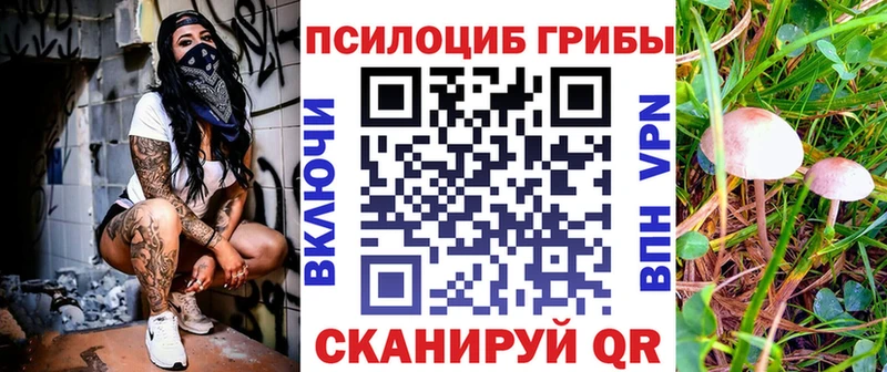 kraken как войти  Ревда  Псилоцибиновые грибы мицелий 